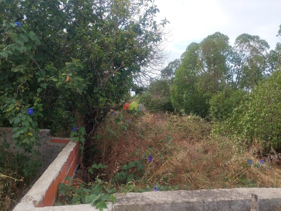 Terreno para Venda em Barcarena Foto 5