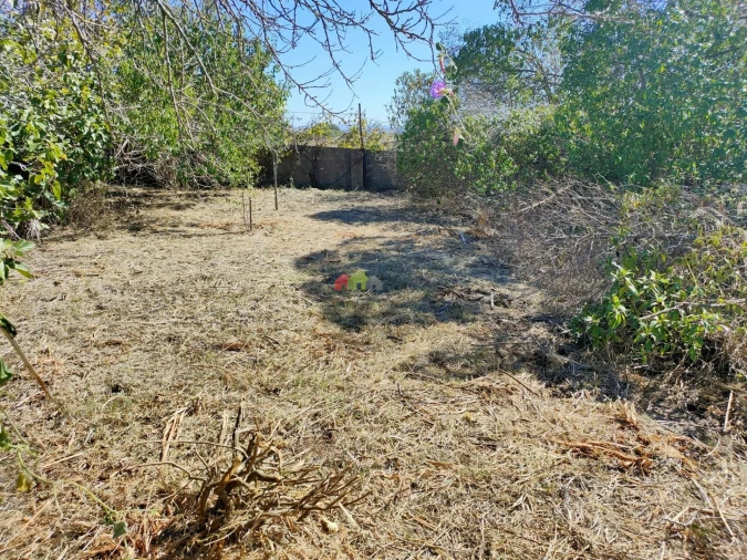 Terreno para Venda em Barcarena Foto 2