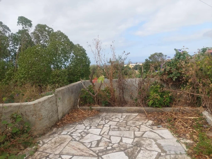 Terreno para Venda em Barcarena Foto 3