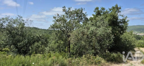 Terreno para Venda em Alqueidão da Serra