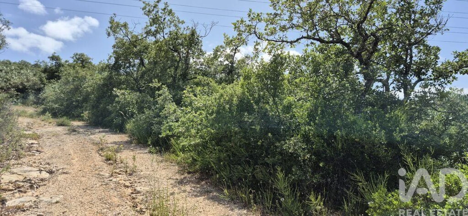 Terreno para Venda em Alqueidão da Serra Foto 3