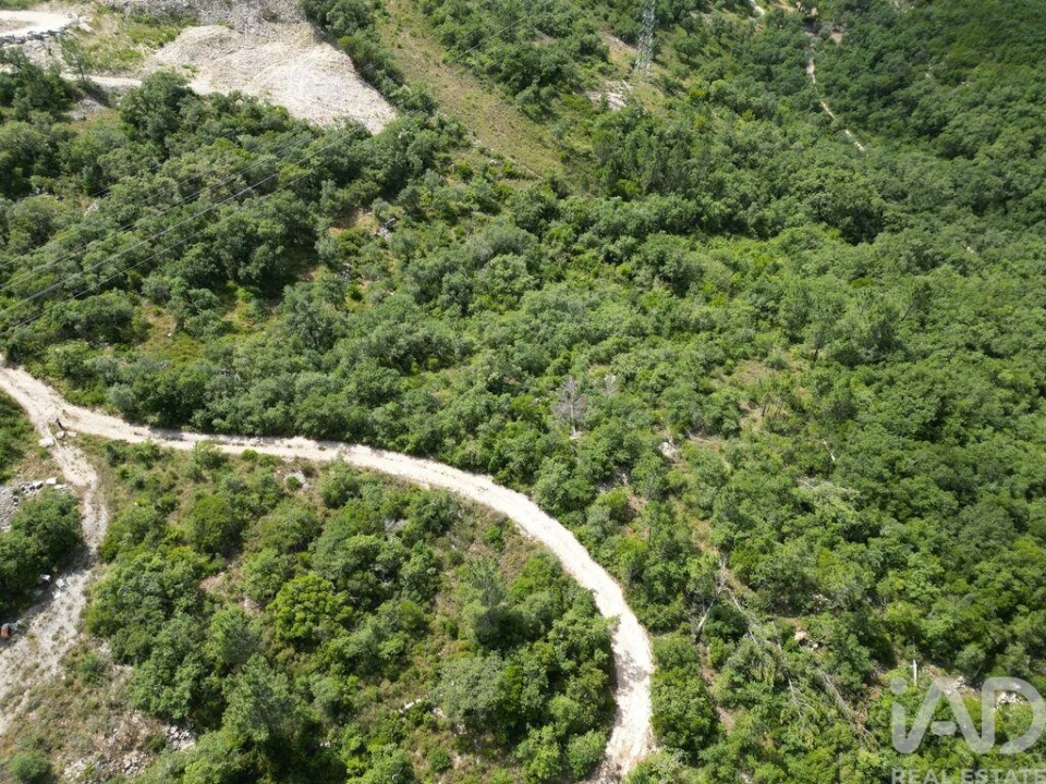 Terreno para Venda em Alqueidão da Serra Foto 8