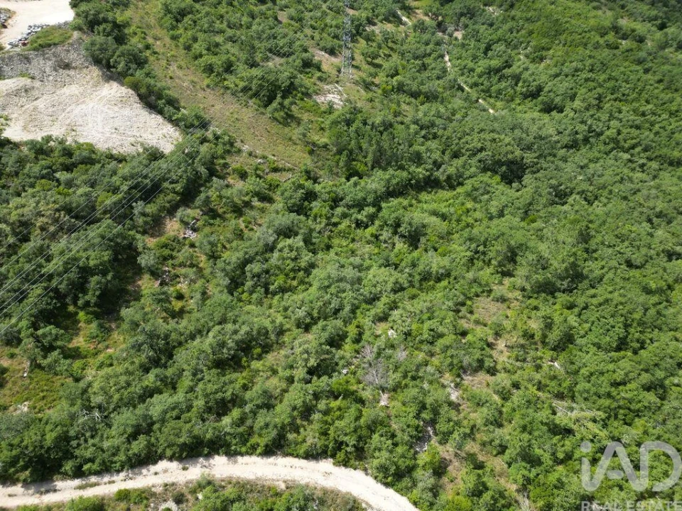 Terreno para Venda em Alqueidão da Serra Foto 7