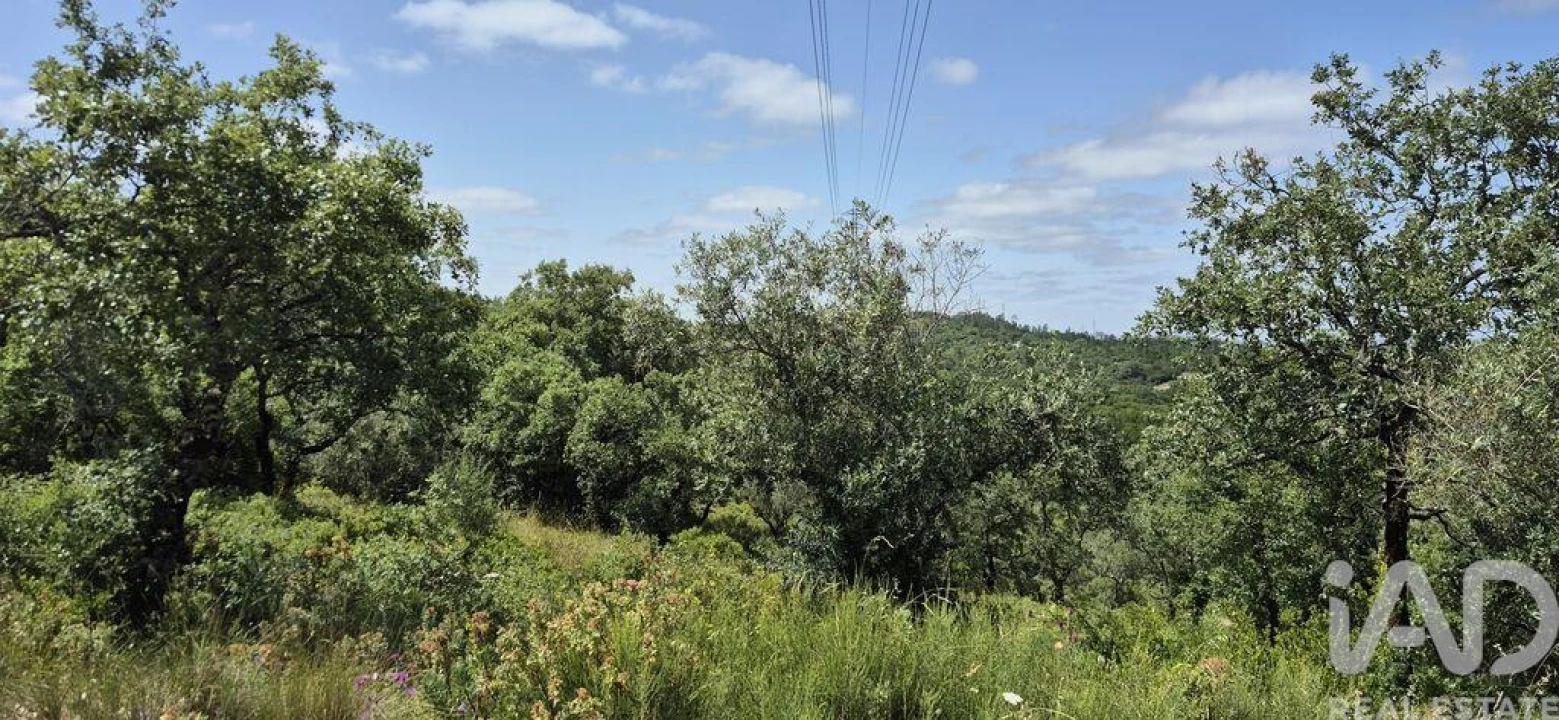 Terreno para Venda em Alqueidão da Serra Foto 5