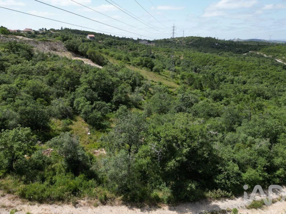 Terreno para Venda em Alqueidão da Serra Foto 6