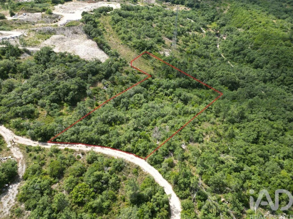 Terreno para Venda em Alqueidão da Serra Foto 1