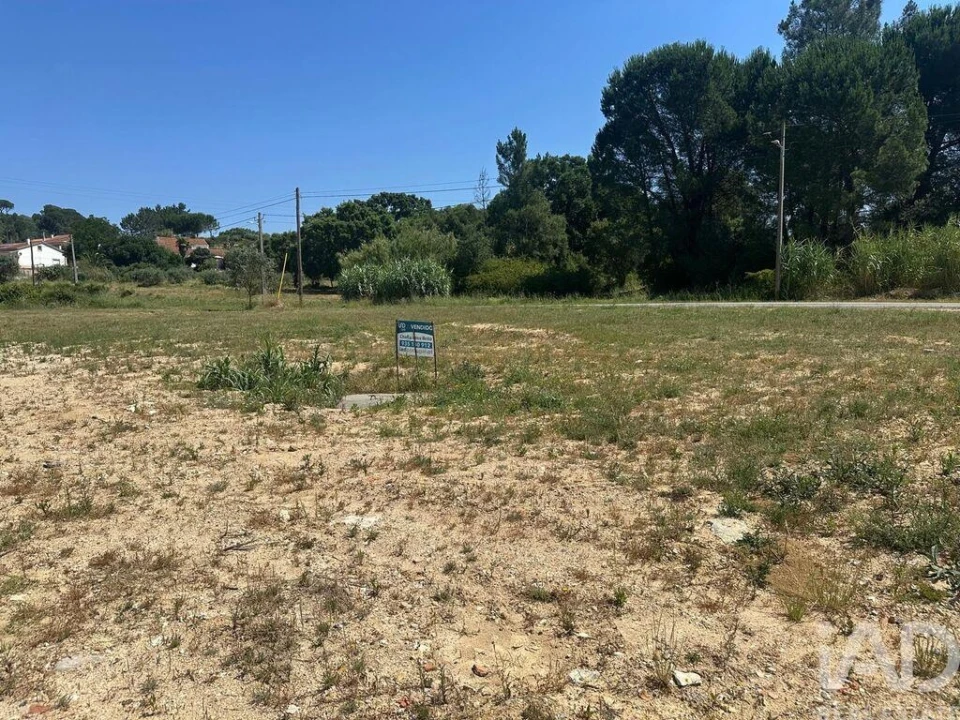Terreno para Venda em São João da Ribeira e Ribeira de São João Foto 28