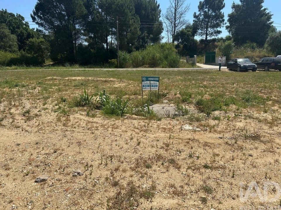 Terreno para Venda em São João da Ribeira e Ribeira de São João Foto 24