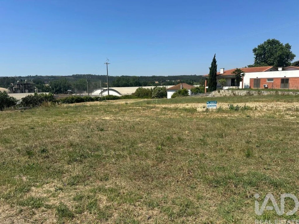 Terreno para Venda em São João da Ribeira e Ribeira de São João Foto 22