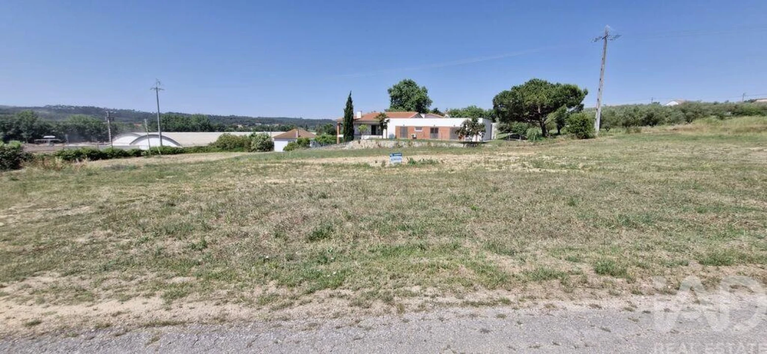 Terreno para Venda em São João da Ribeira e Ribeira de São João Foto 19