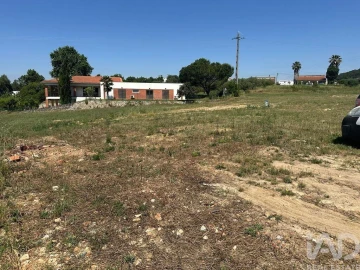 Terreno para Venda em São João da Ribeira e Ribeira de São João