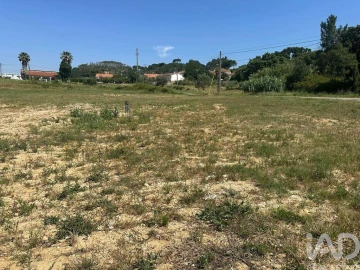 Terreno para Venda em São João da Ribeira e Ribeira de São João