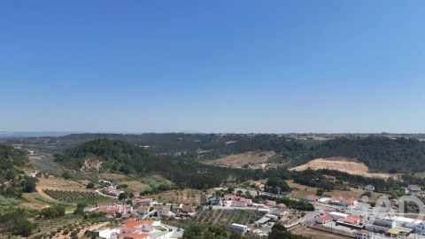 Terreno para Venda em São João da Ribeira e Ribeira de São João