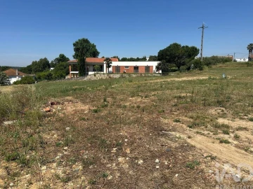 Terreno para Venda em São João da Ribeira e Ribeira de São João