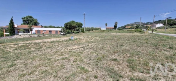 Terreno para Venda em São João da Ribeira e Ribeira de São João