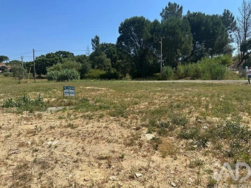 Terreno para Venda em São João da Ribeira e Ribeira de São João