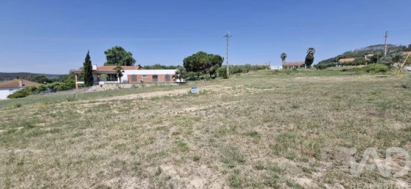 Terreno para Venda em São João da Ribeira e Ribeira de São João