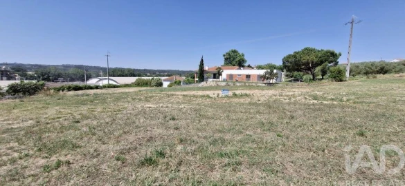 Terreno para Venda em São João da Ribeira e Ribeira de São João