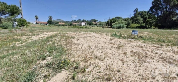 Terreno para Venda em São João da Ribeira e Ribeira de São João