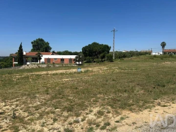 Terreno para Venda em São João da Ribeira e Ribeira de São João