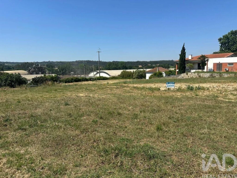 Terreno para Venda em São João da Ribeira e Ribeira de São João Foto 23