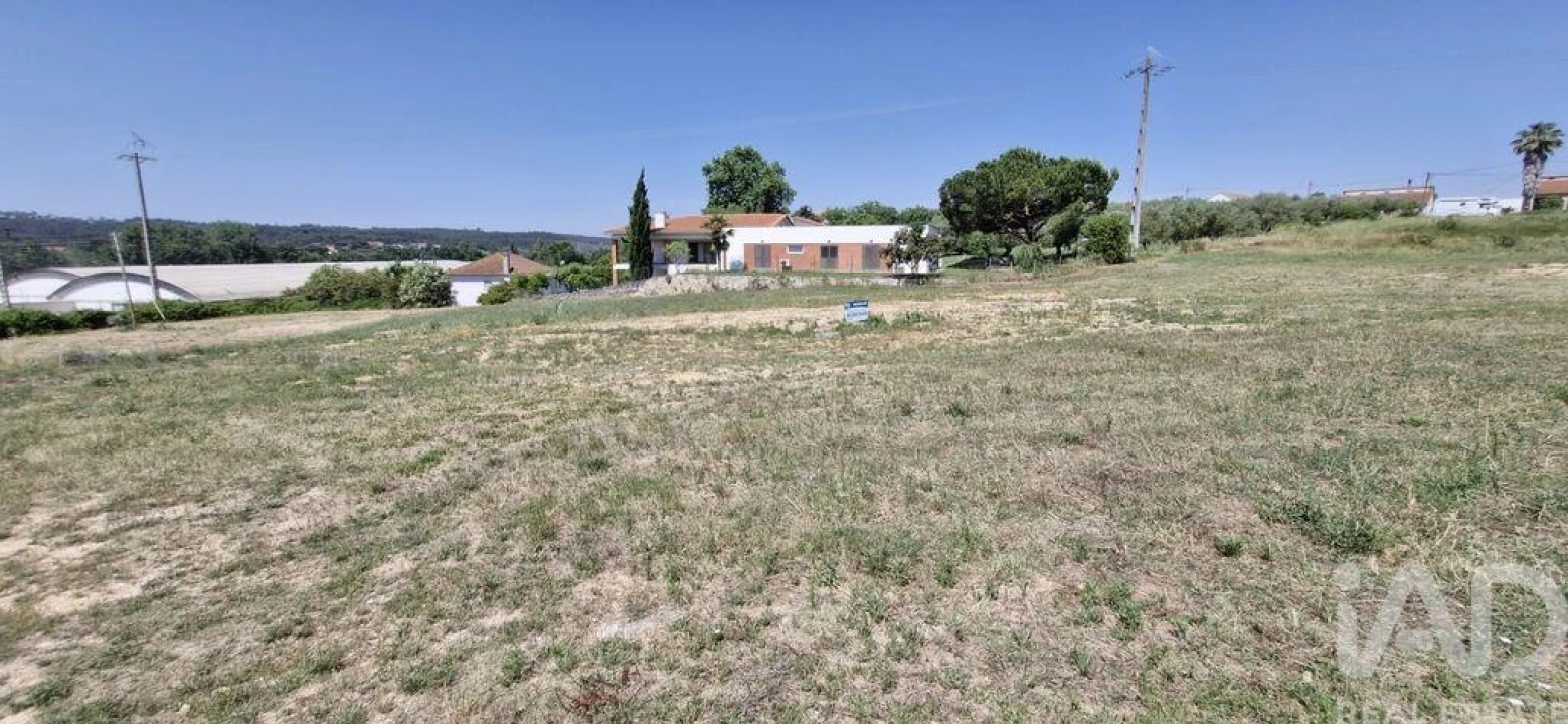 Terreno para Venda em São João da Ribeira e Ribeira de São João Foto 20