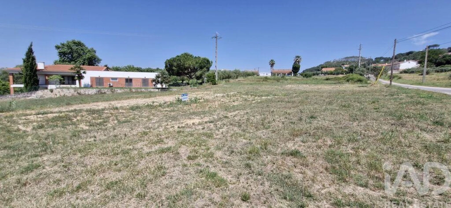 Terreno para Venda em São João da Ribeira e Ribeira de São João Foto 16