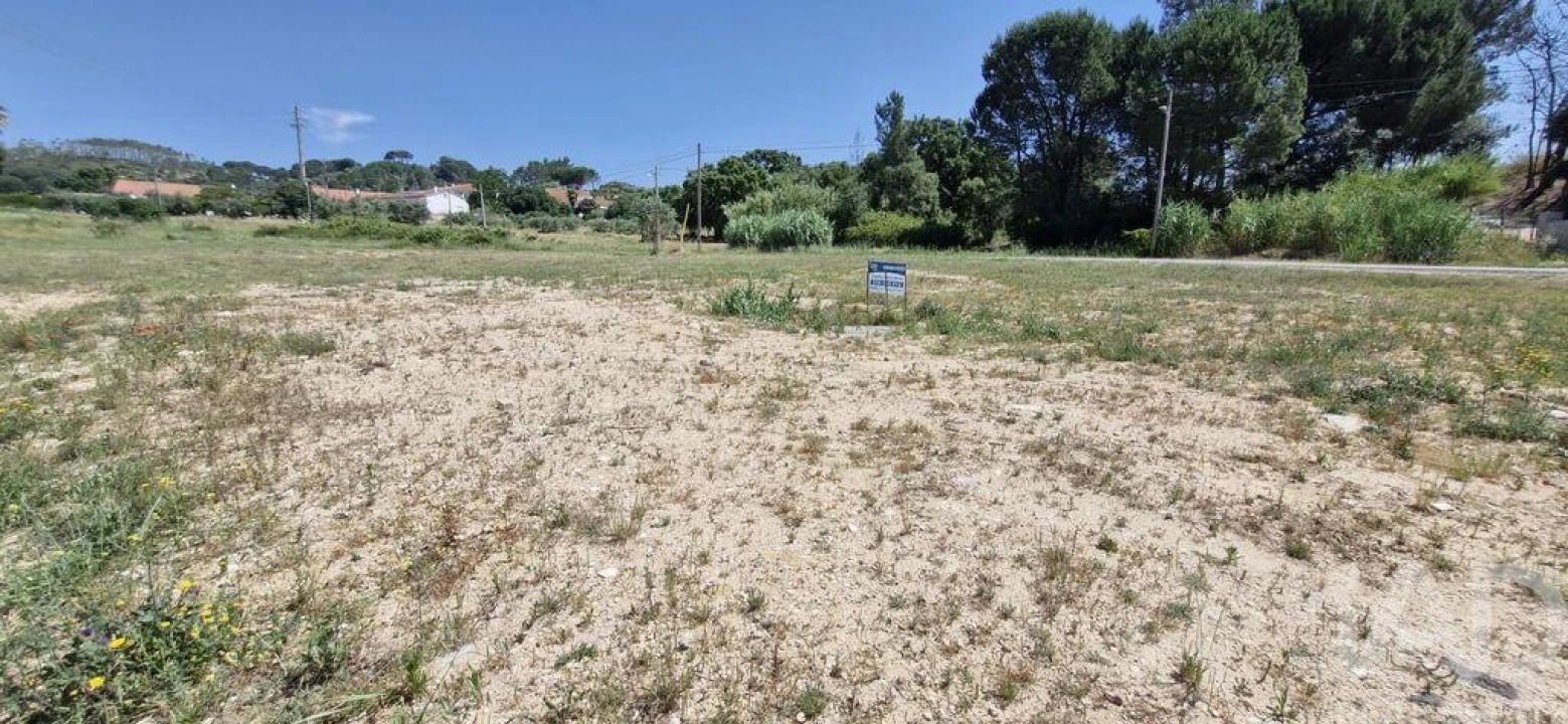 Terreno para Venda em São João da Ribeira e Ribeira de São João Foto 14