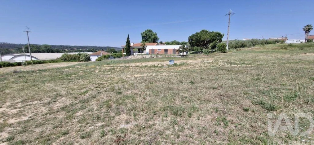 Terreno para Venda em São João da Ribeira e Ribeira de São João Foto 20