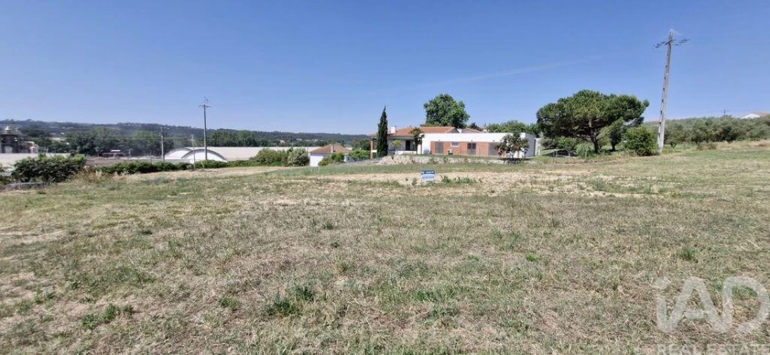 Terreno para Venda em São João da Ribeira e Ribeira de São João Foto 18