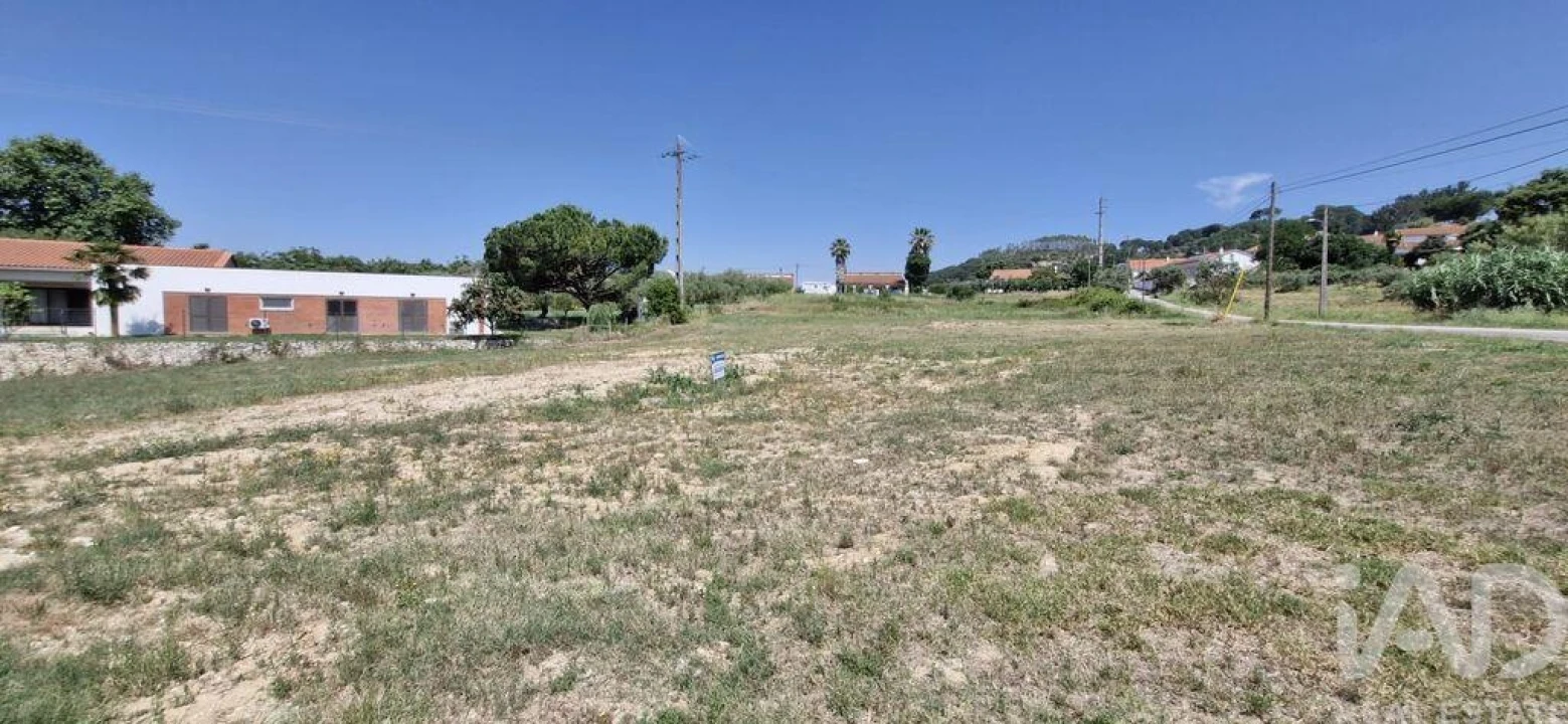 Terreno para Venda em São João da Ribeira e Ribeira de São João Foto 12