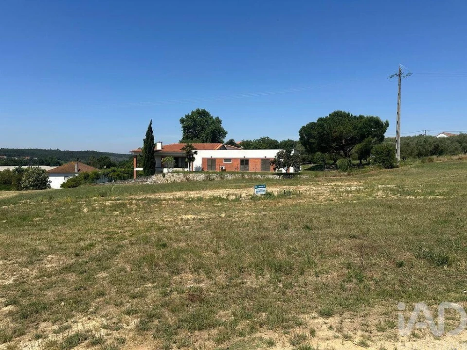 Terreno para Venda em São João da Ribeira e Ribeira de São João Foto 21