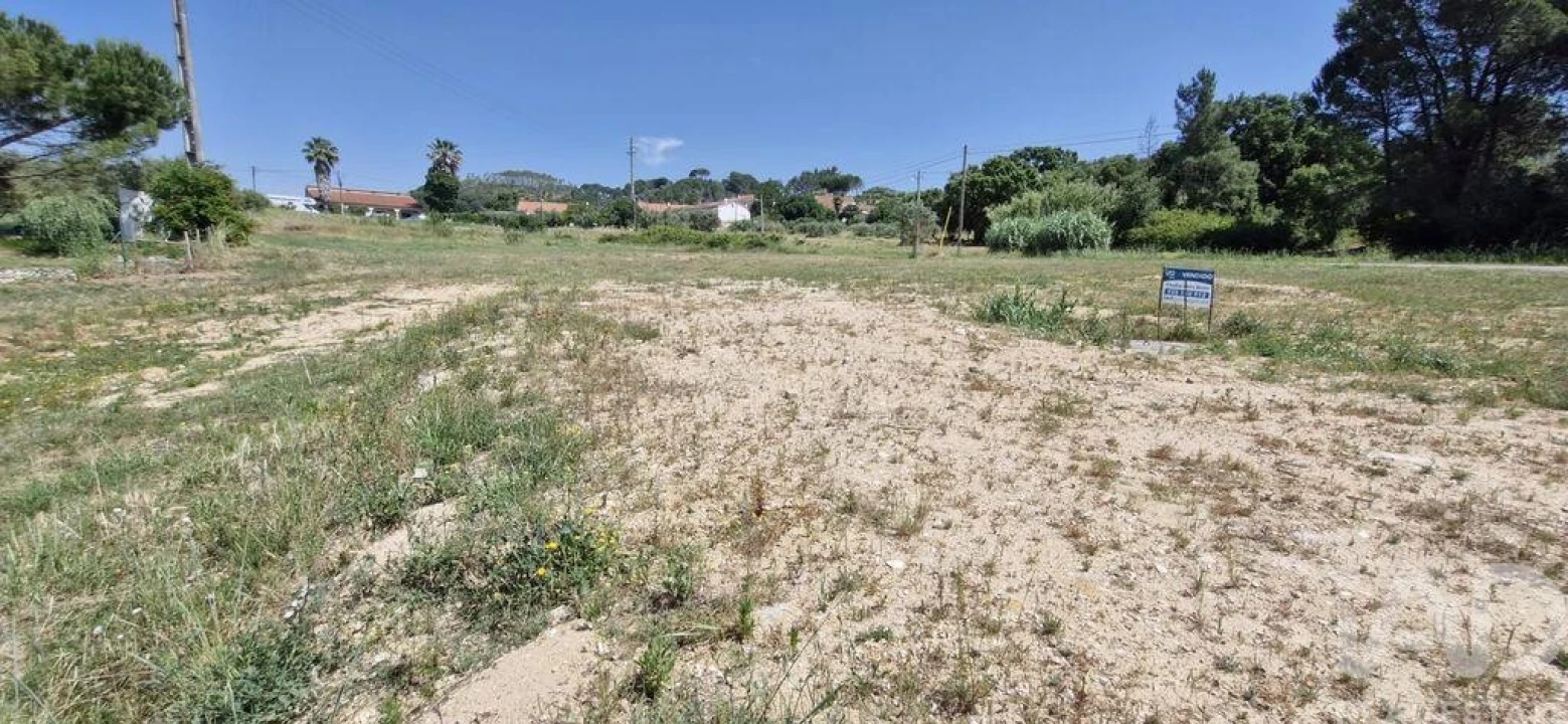 Terreno para Venda em São João da Ribeira e Ribeira de São João Foto 13