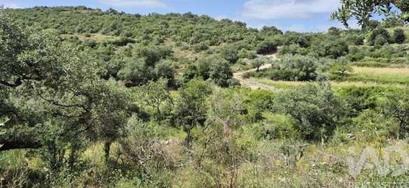 Terreno para Venda em Alqueidão da Serra