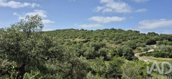 Terreno para Venda em Alqueidão da Serra