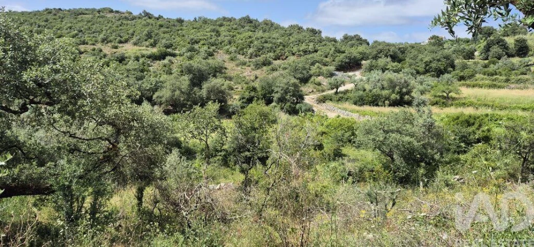 Terreno para Venda em Alqueidão da Serra Foto 4