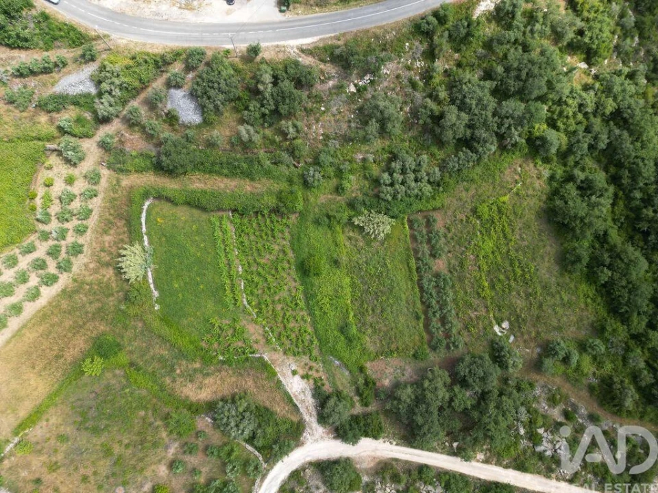 Terreno para Venda em Alqueidão da Serra Foto 3