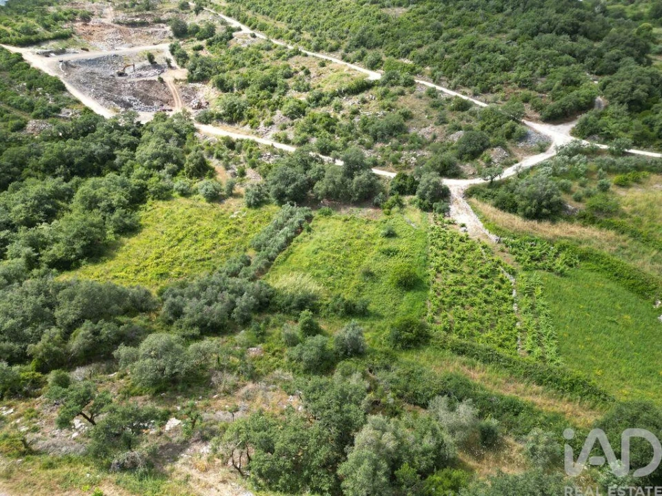 Terreno para Venda em Alqueidão da Serra Foto 2