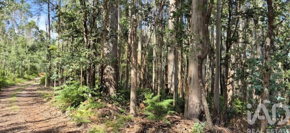 Terreno para Venda em Alqueidão da Serra
