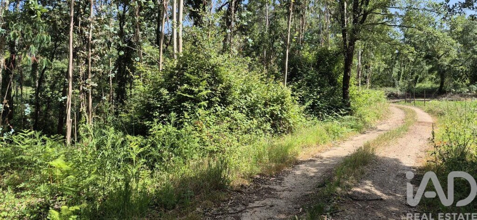 Terreno para Venda em Alqueidão da Serra Foto 8