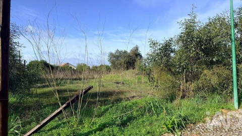 Terreno para Venda em Alcantarilha e Pêra