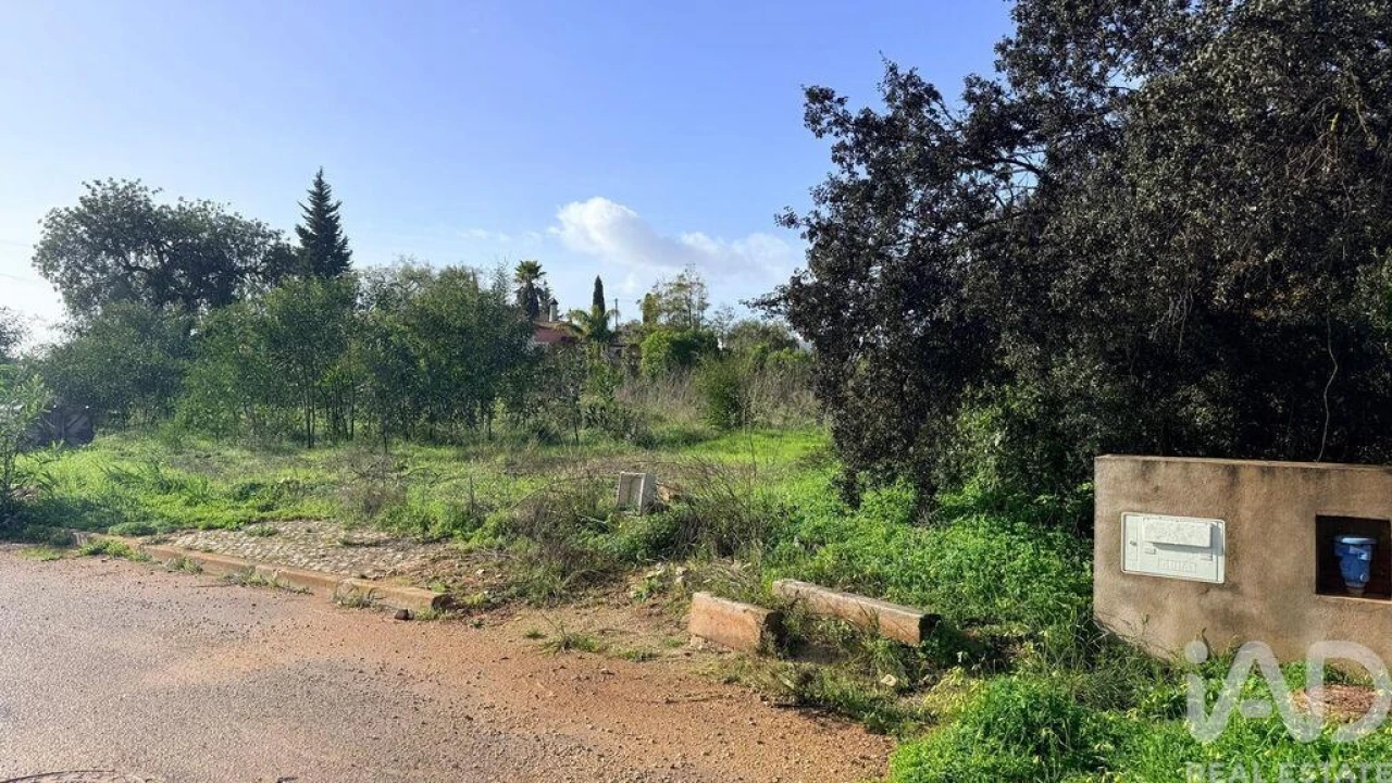 Terreno para Venda em Alcantarilha e Pêra Foto 4