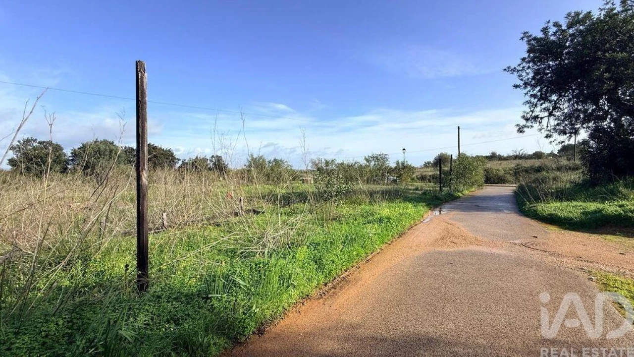 Terreno para Venda em Alcantarilha e Pêra Foto 8