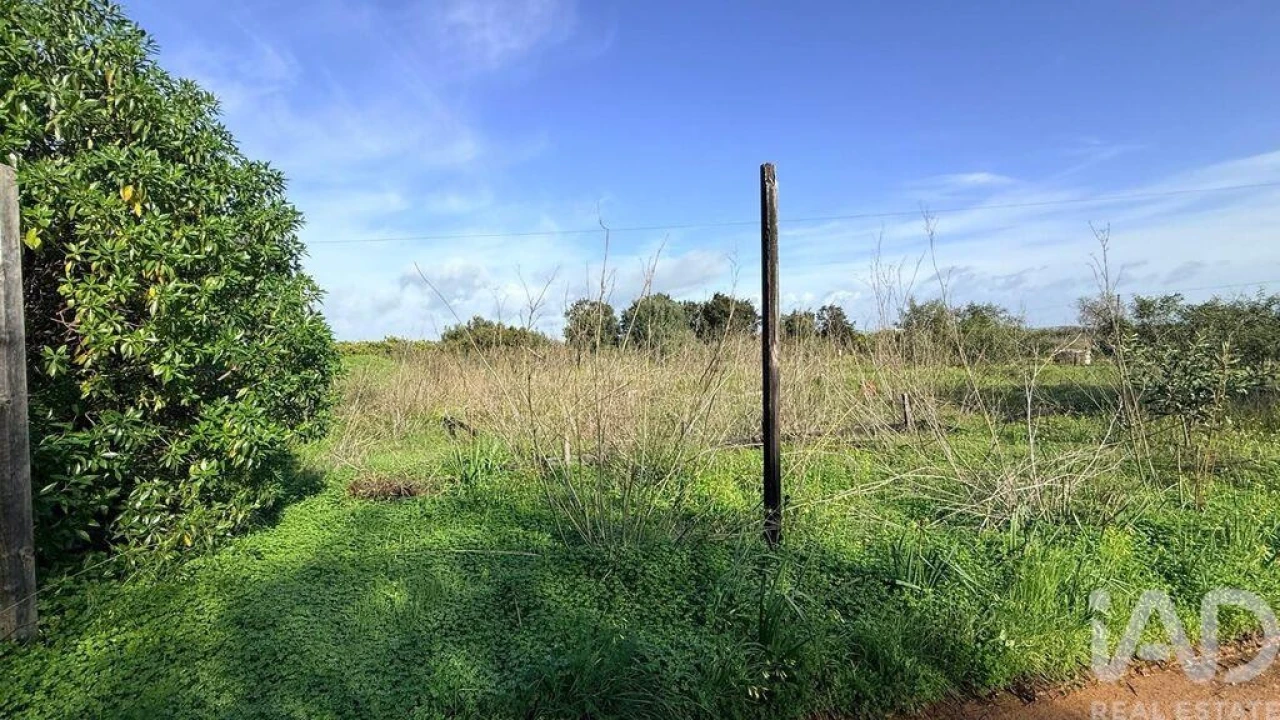 Terreno para Venda em Alcantarilha e Pêra Foto 7