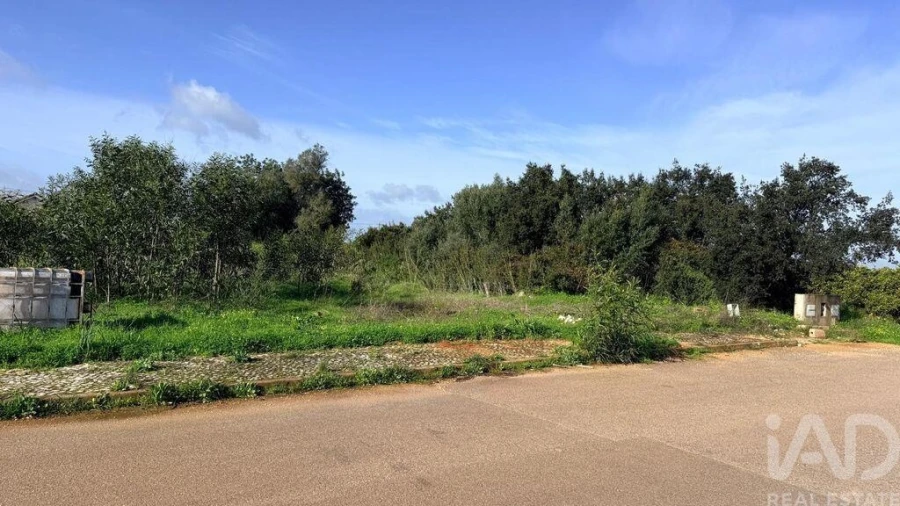 Terreno para Venda em Alcantarilha e Pêra Foto 9