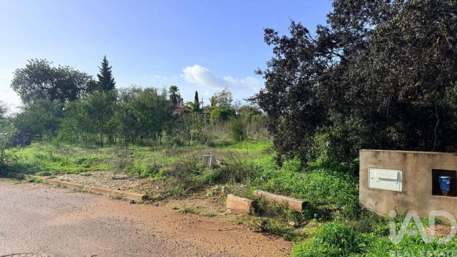 Terreno para Venda em Alcantarilha e Pêra Foto 4