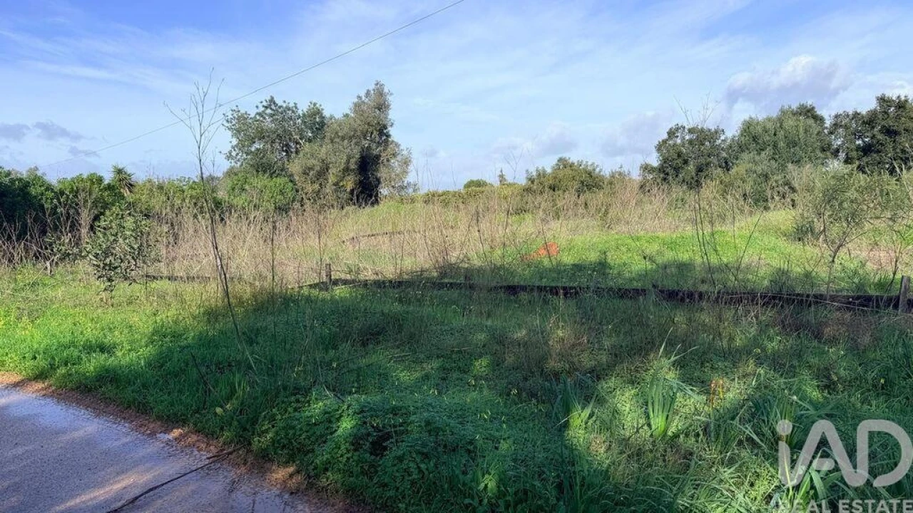 Terreno para Venda em Alcantarilha e Pêra Foto 6