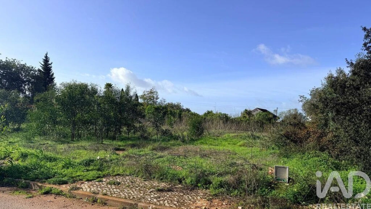 Terreno para Venda em Alcantarilha e Pêra Foto 3