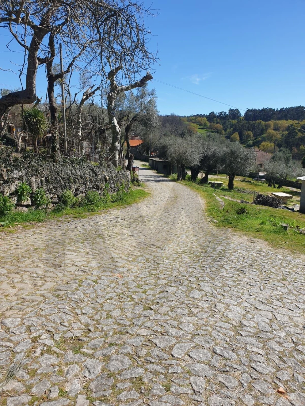 Terreno para Venda em Rio Douro Foto 6