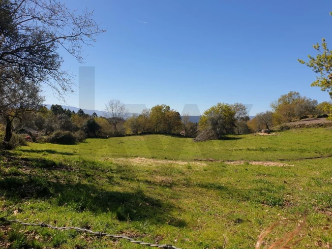 Terreno para Venda em Rio Douro Foto 10